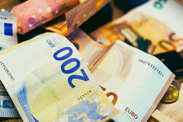 Obligations for commercial companies in the official currency conversion of capital after the introduction of the euro