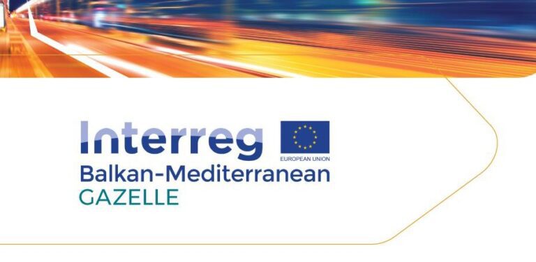 Bulletin No. 4 on the Gazelle project – orGAniZing accELaration for high-potentiaL innovativE SMEs