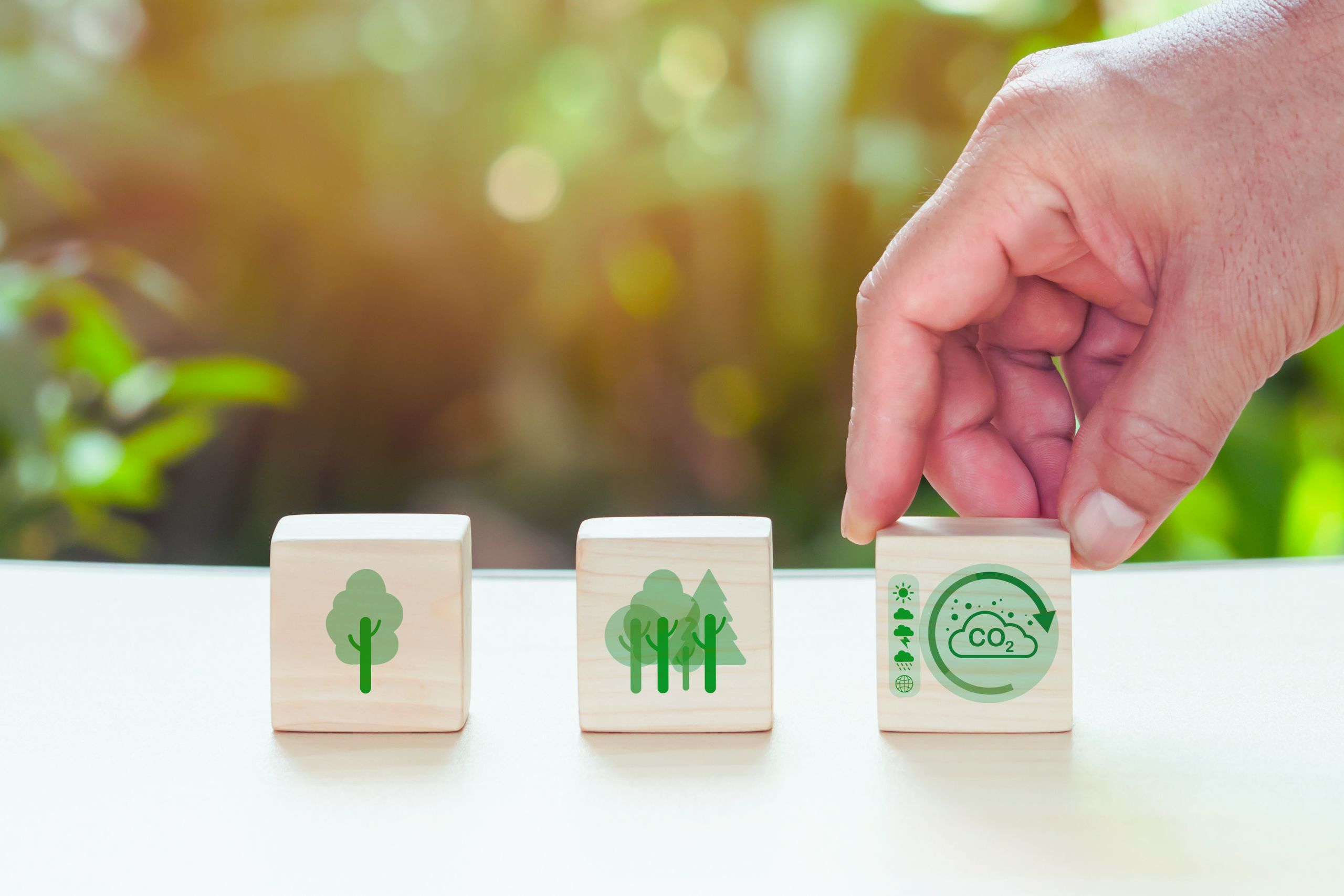 Integrated Management Systems How ISO Standards Support Growth and Trust 5
